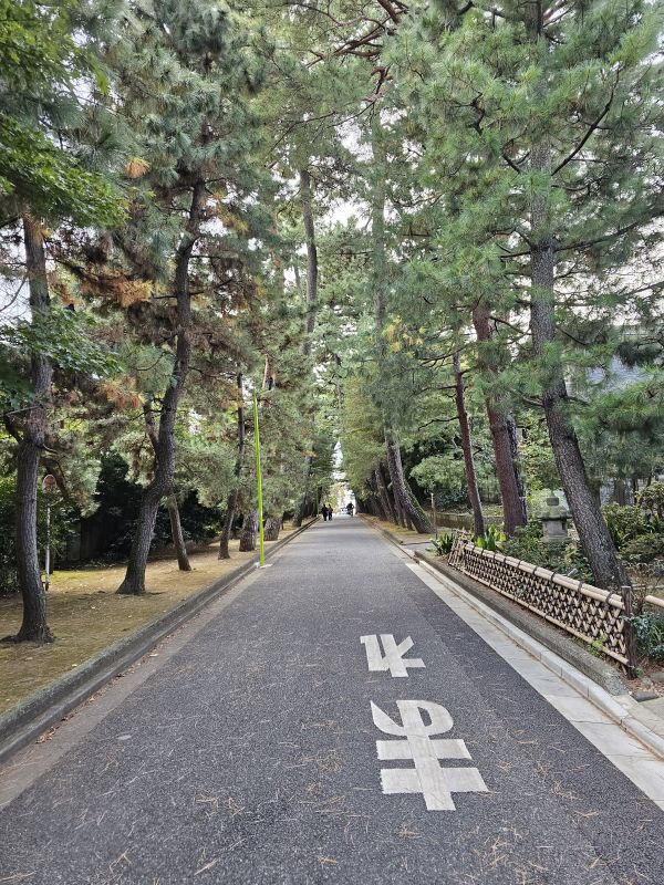 callecita residencial de barrio de afueras de tokyo